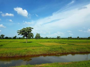 Scenic view of landscape against sky