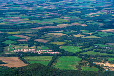 Aerial view of agricultural field