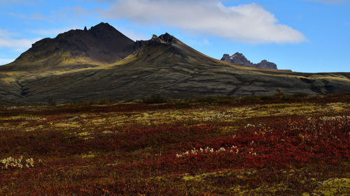 Scenic view of landscape against sky