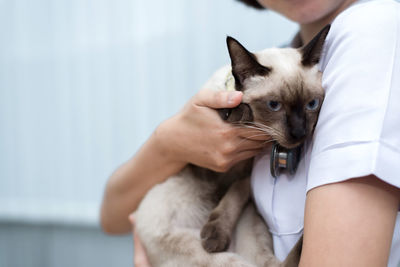 Midsection of woman with cat