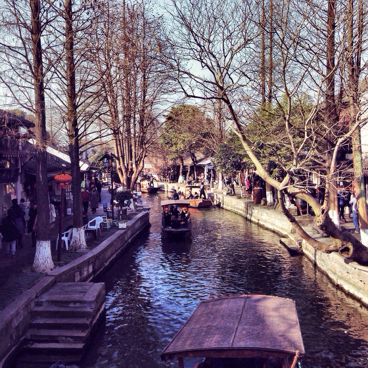 PANORAMIC VIEW OF PEOPLE IN CITY BY TREES