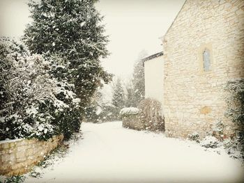 Snow covered tree by building against sky