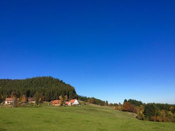 Trees on grassy field against blue sky