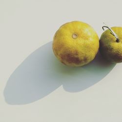 Close-up of fruits over white background