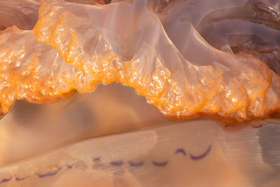 High angle view of ice cream on table