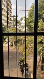 Trees against sky seen through glass window