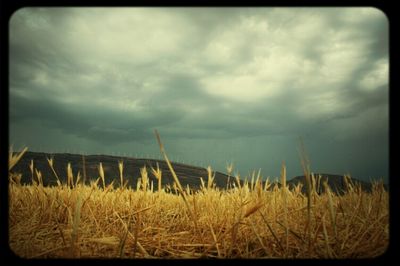 View of field against cloudy sky