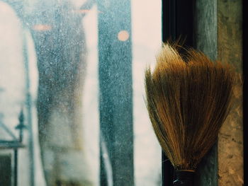 Close-up of person against window