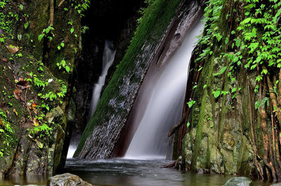 Scenic view of waterfall in forest