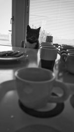 Close-up of cat on table