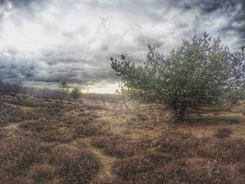 Scenic view of field against cloudy sky