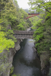 River flowing through rocks