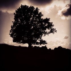 Silhouette of trees against cloudy sky