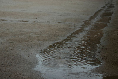 Raindrops falling on puddle