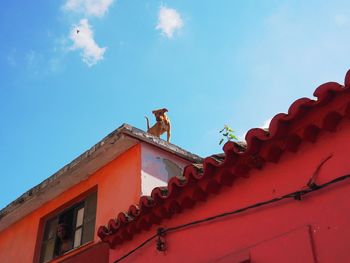 Low angle view of building against sky