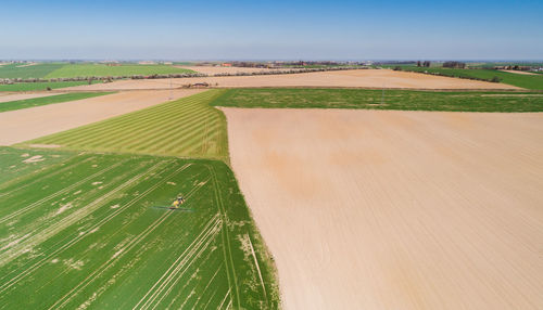 Scenic view of agricultural field