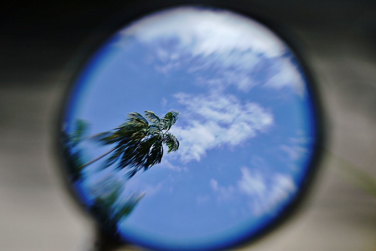 CLOSE-UP OF INSECT AGAINST BLUE SKY AND