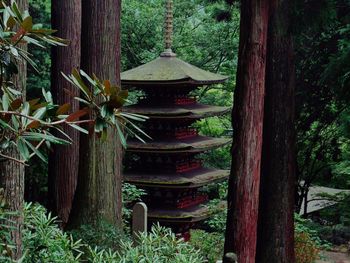 Trees by pond