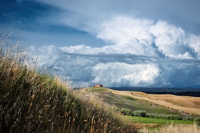 Scenic view of field against sky