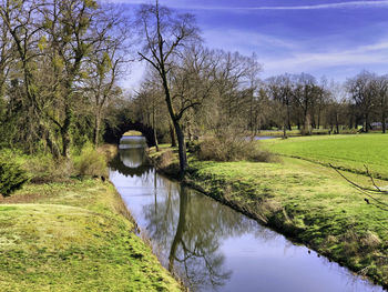 View of canal along trees