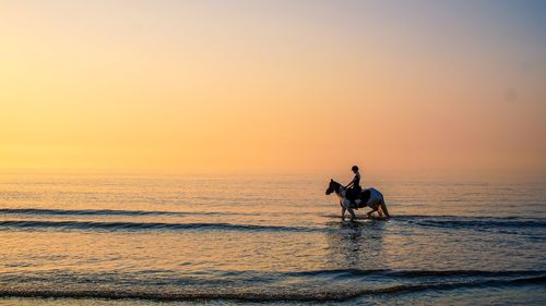Silhouette man riding horse in sea against sky during sunset