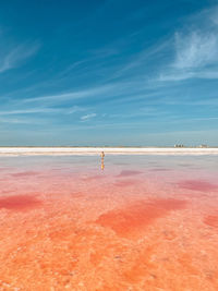 Scenic view of beach against blue sky