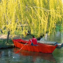 Boat moored by lake against trees