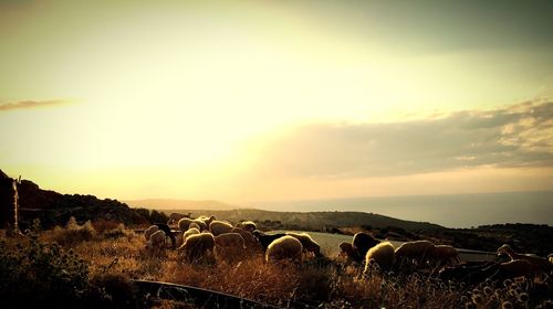 Panoramic view of sky