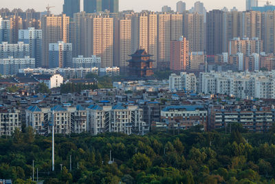 Buildings in city