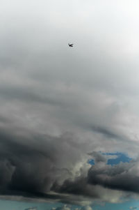 Airplane flying in sky