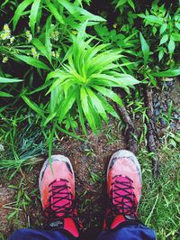 Low section of man standing by plants