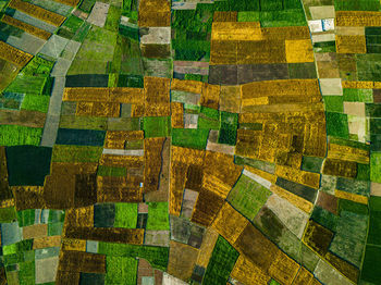 Full frame shot of agricultural field