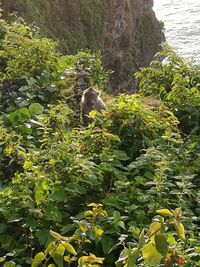 Bird perching on a tree