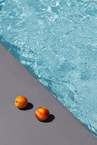 High angle view of fruits in swimming pool