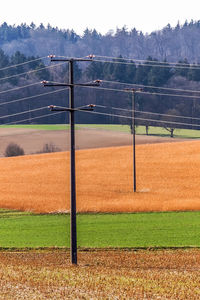 Poles and power cables over field