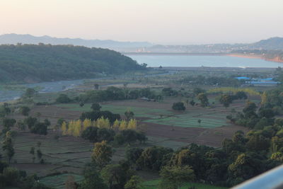 High angle view of trees on landscape against sky