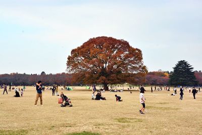 People relaxing in park