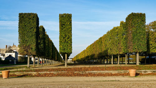 Panoramic view of park against sky