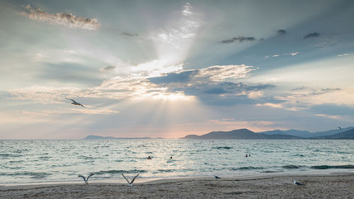 Scenic view of beach against sky during sunset