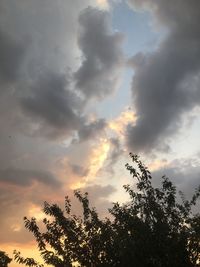 Low angle view of tree against sky during sunset