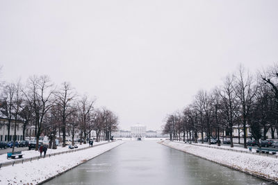 Snow covered bare trees in city against clear sky