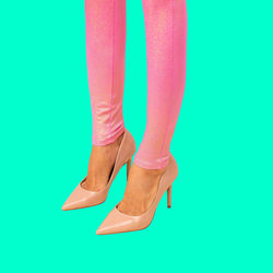 human leg