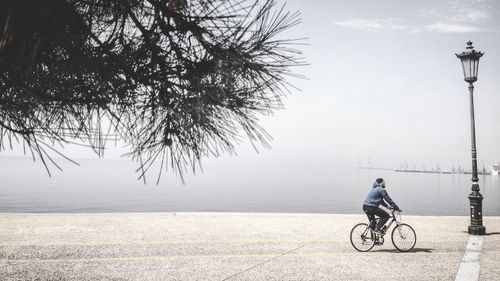 Side view of man riding bicycle on road by river