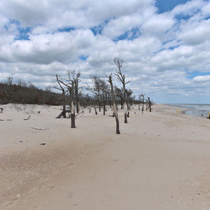 Scenic view of beach against sky
