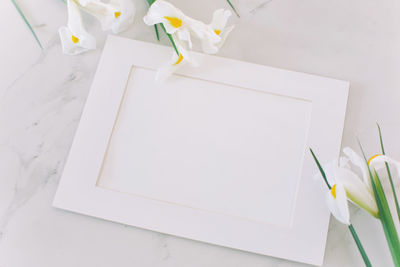 High angle view of colored pencils on white table