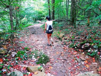 Full length of woman standing in forest