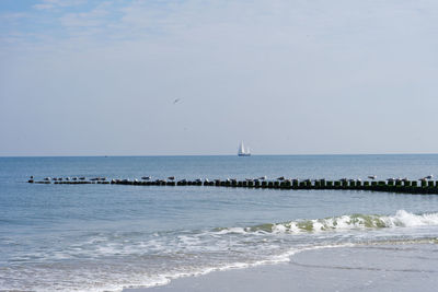 Scenic view of sea against sky