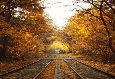 Railroad tracks amidst trees during autumn