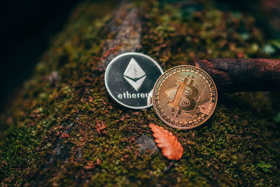 Close-up of coin on rock