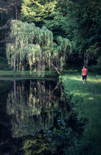 Rear view of man standing by lake in forest